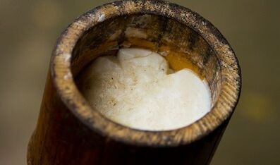 olejek z drzewa herbacianego do leczenia brodawek